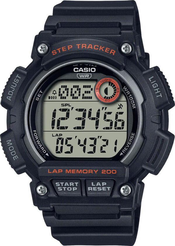 Годинник Casio TIMELESS COLLECTION WS-2100H-1A