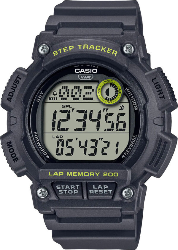 Годинник Casio TIMELESS COLLECTION WS-2100H-8A